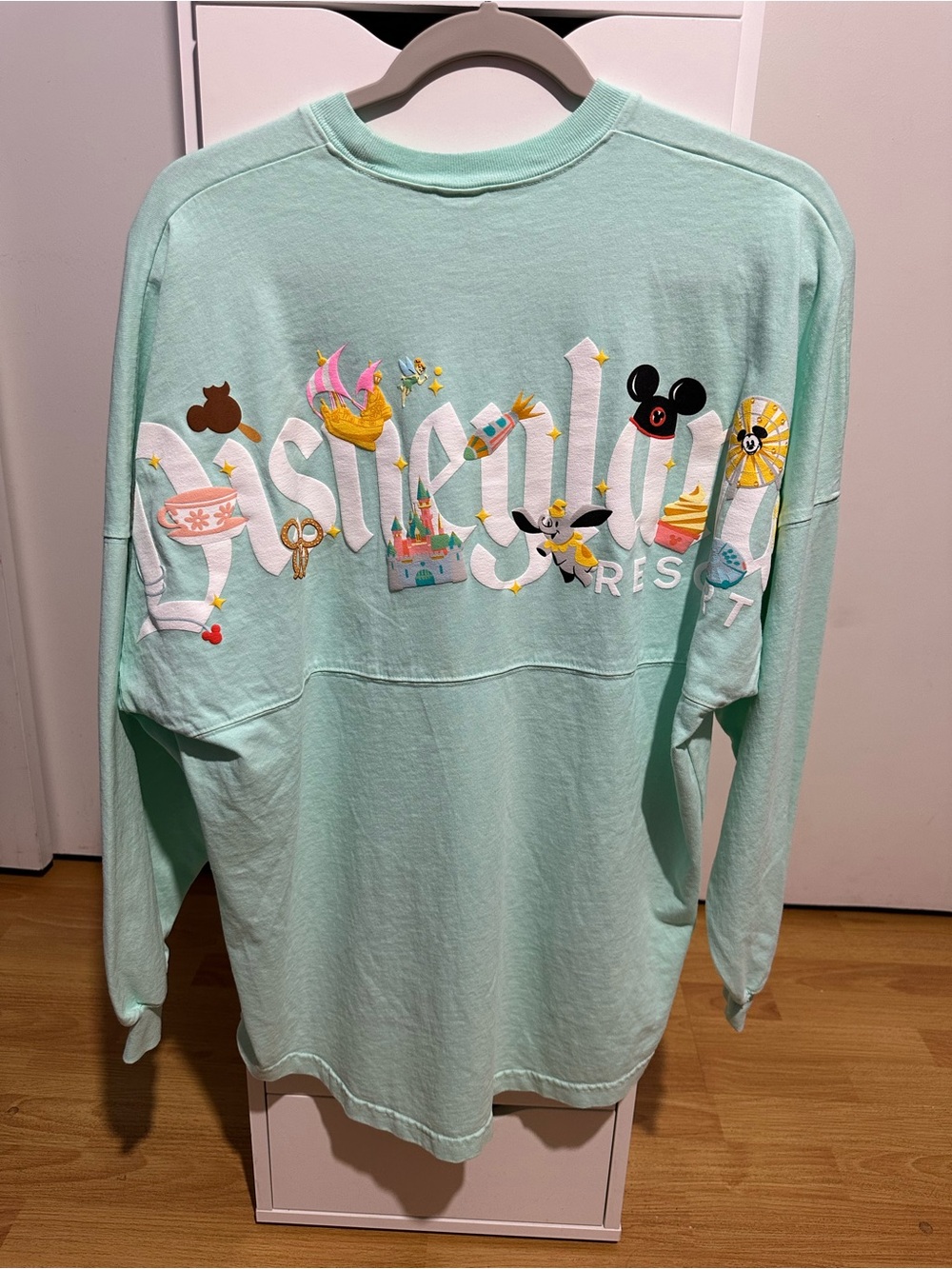 Disneyland Bundle (Spirit Jersey and Shirt)